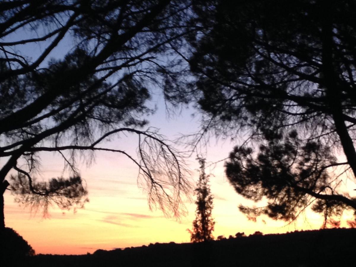 מלון ניונס La Picholine En Provence מראה חיצוני תמונה